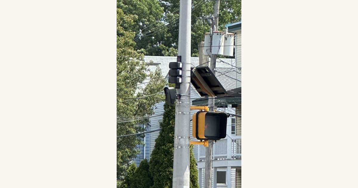 Council calls for complete review of surveillance tech